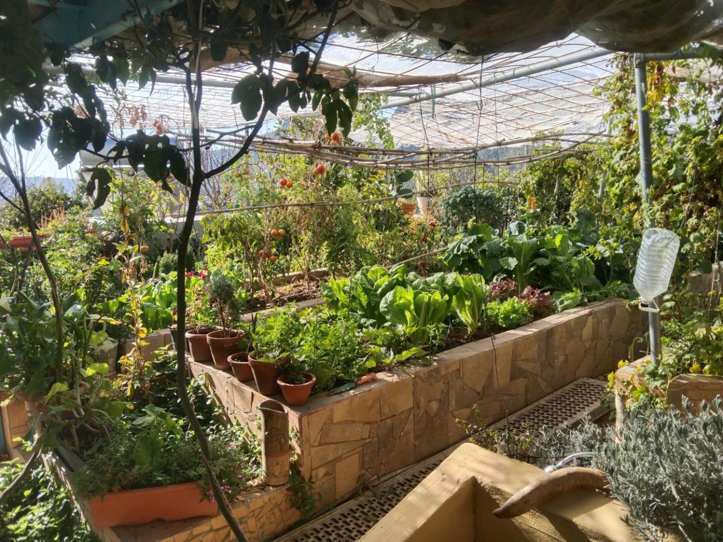 Finca Cortez Apartment 4 San Bartolomé Εξωτερικό φωτογραφία